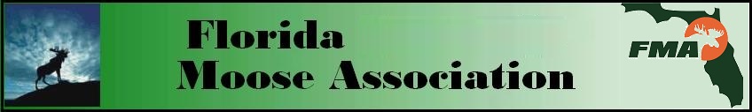 FMA Logo Banner